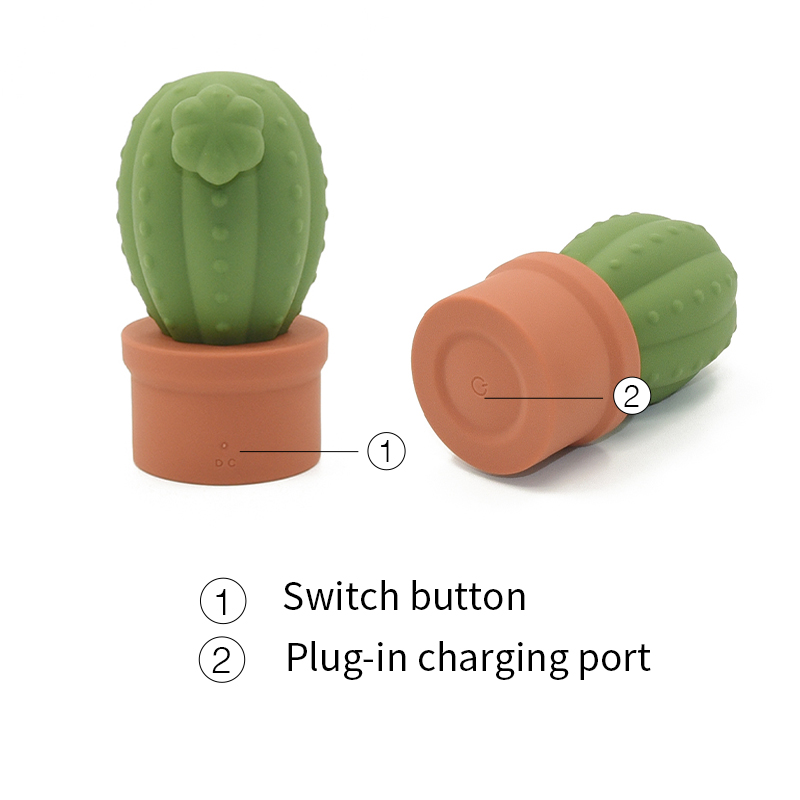 Flos Pot Cactus vibes FDA Silicone elegans package- Shenzhen Zhimo Technology Co, Ltd.